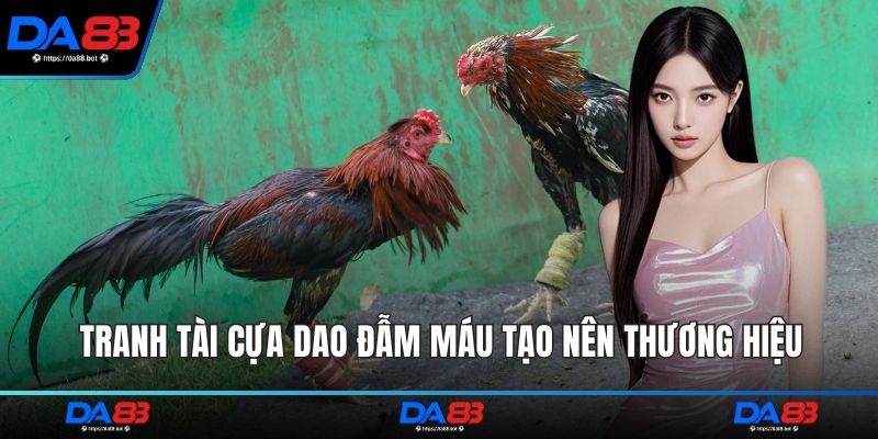Tranh tài cựa dao đẫm máu tạo nên thương hiệu